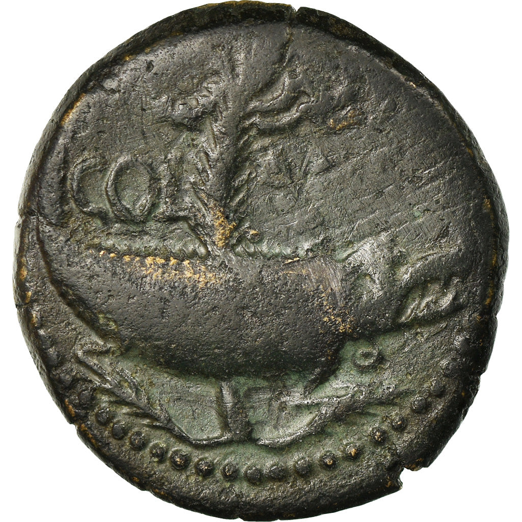 Monnaie, Auguste, Dupondius, 10-14 AD, Nîmes, TB+, Bronze, RIC:160