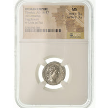 Coin, Tiberius, Denarius, 15-37 AD, Lyon - Lugdunum, graded, NGC, MS, 5/5-3/5
