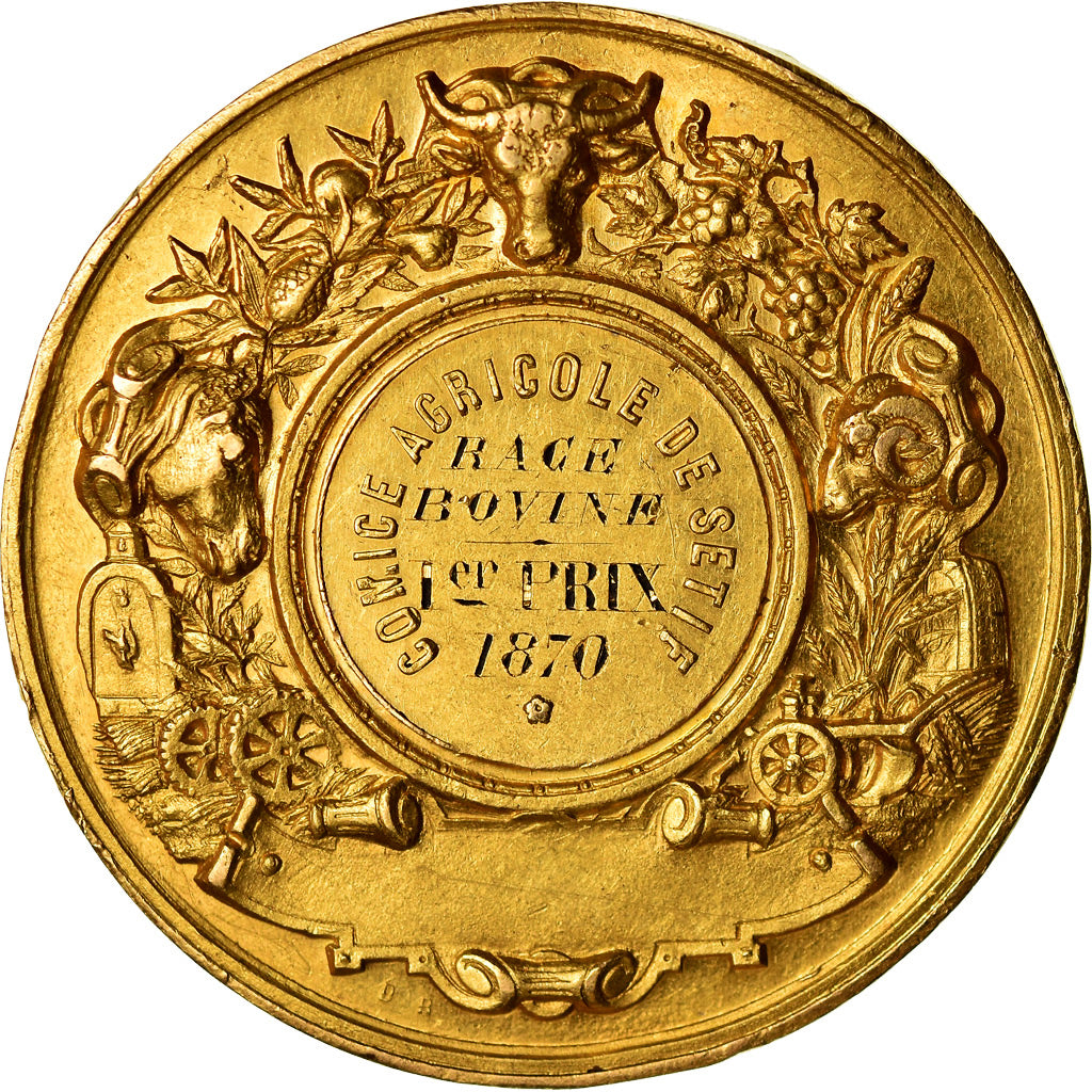 Algeria, Medal, Napoléon III, Comice agricole de Sétif, 1870, Desaide