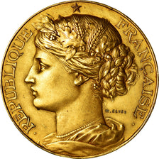 Algeria, Medal, Marianne, Comice agricole de Bougie, 1890, Kluge, AU(55-58)