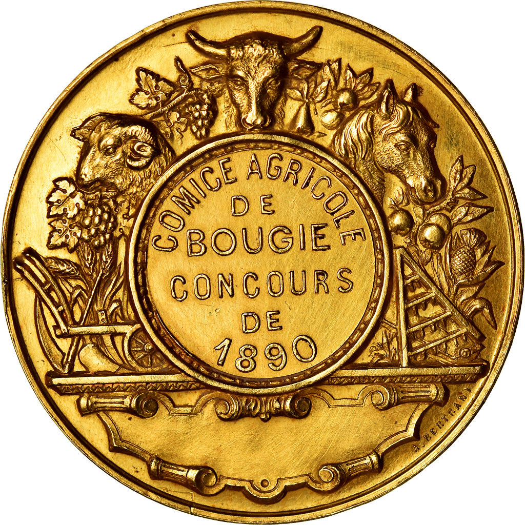 Algeria, Medal, Marianne, Comice agricole de Bougie, 1890, Kluge, AU(55-58)