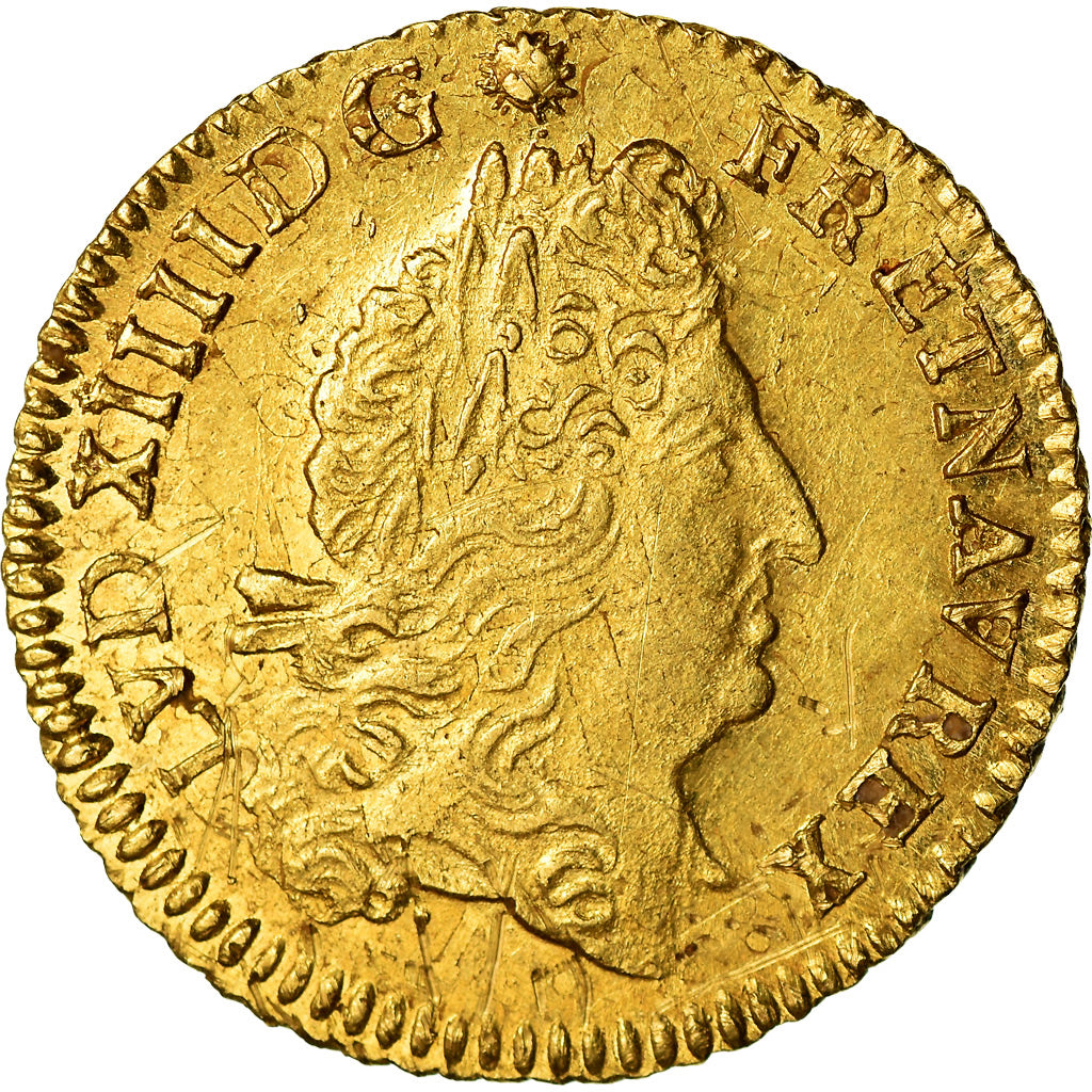 Monnaie, France, Louis XIV, 1/2 Louis d'or à l'écu, 1/2 Louis d'or, 1691