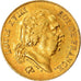 Moneta, Francja, Louis XVIII, 40 Francs, 1818, Lille, AU(50-53), Złoto