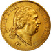Moneda, Francia, Louis XVIII, Louis XVIII, 40 Francs, 1818, Lille, MBC, Oro