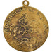 United Kingdom , Medal, Saint Georges Terrassant le Dragon, VF(30-35), Brass
