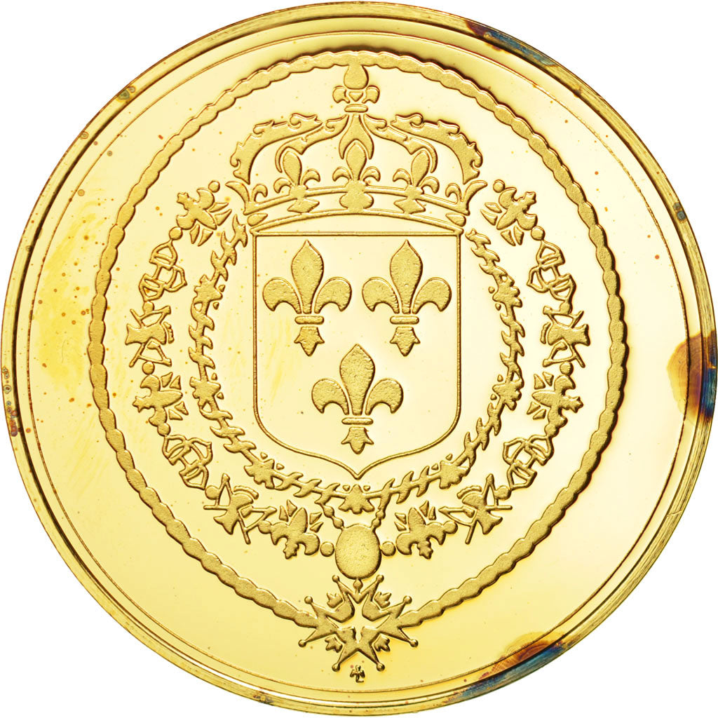 Francia, Medal, Les rois de France, Louis XIV, History, FDC, Vermeil