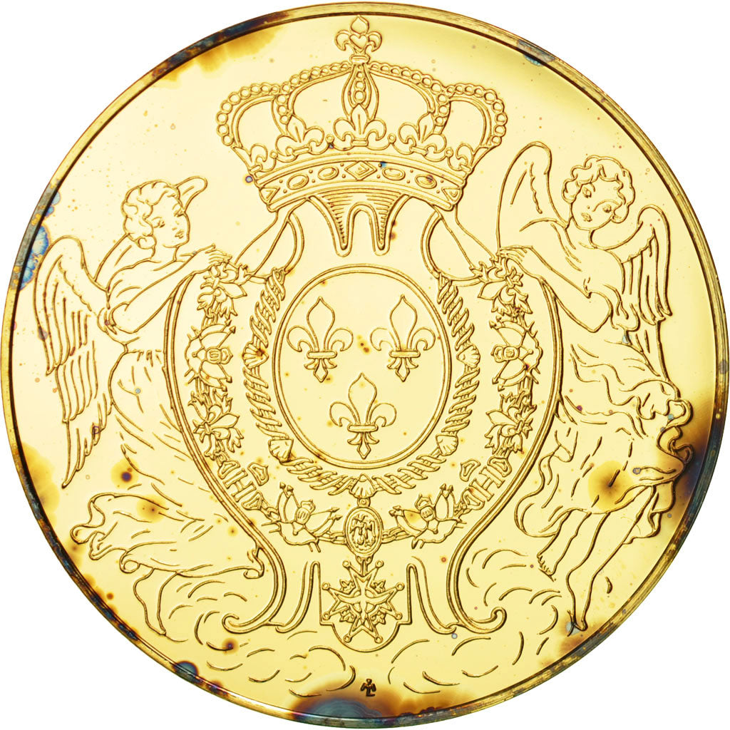 France, Medal, Les rois de France, Louis XV, History, MS(65-70), Vermeil