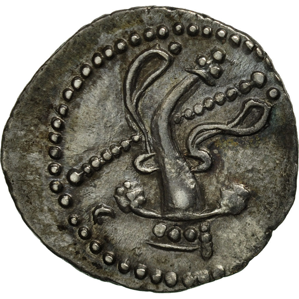 Coin, Mauretanian Kingdom, Juba II, Denarius, Caesarea, Pozzi 3322