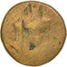 Coin, Seleucis and Pieria, Pseudo-autonomous issue, Dichalkon, 1st century BC