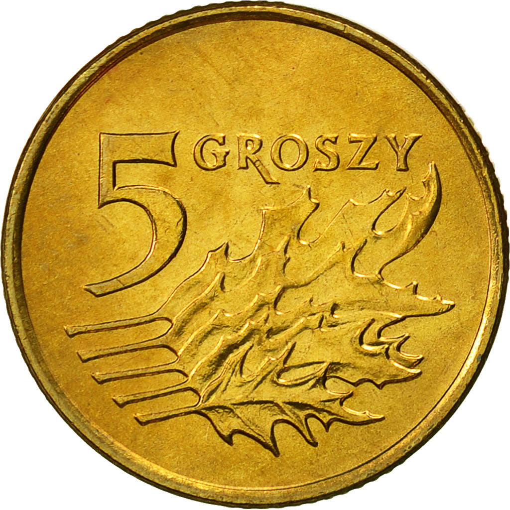 Münze, Polen, 5 Groszy, 1998, Warsaw, STGL, Messing, KM:278