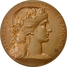 France, Medal, Médaille agricole, Dupuis.D, MS(60-62), Bronze