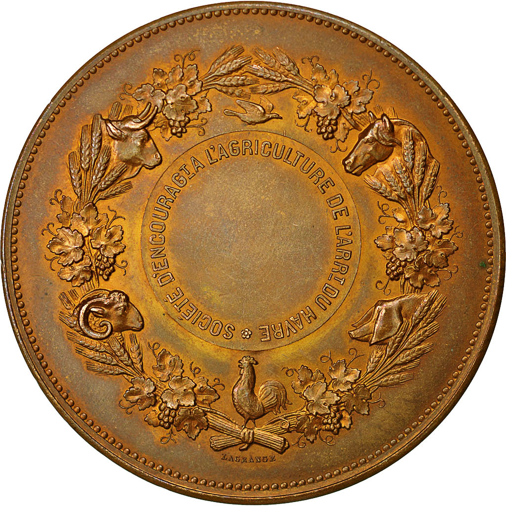 France, Medal, Médaille agricole, Dupuis.D, MS(60-62), Bronze