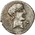 Monnaie, Vibia, Denier, 90 BC, Rome, SUP, Argent, Crawford:342/5b