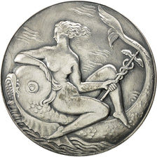 Francia, Medal, Ville du Havre, Poisson, FDC, Bronzo argentato
