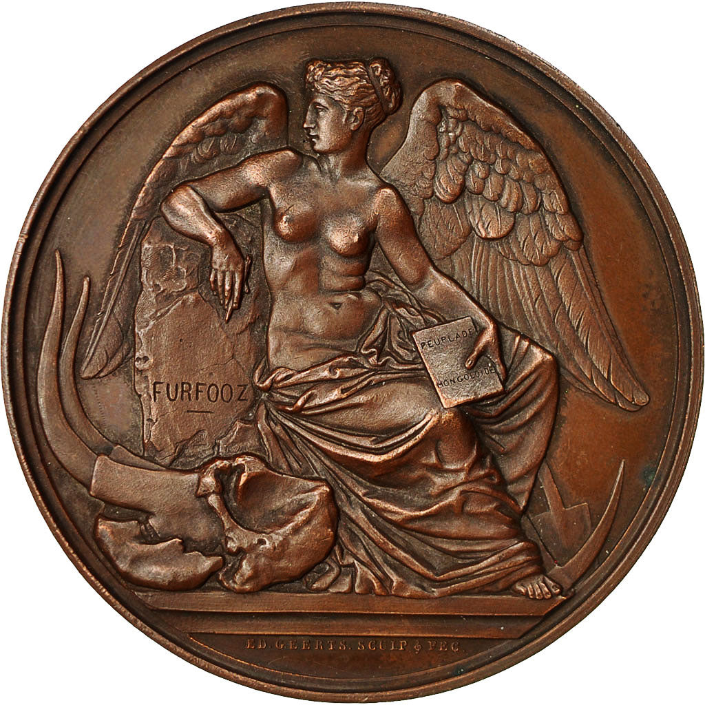 Belgique, Medal, Congrès International d'Anthropologie à Bruxelles, History