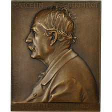 Francia, Medal, Marcelin Berthelot, Sciences & Technologies, 1901, Chaplain