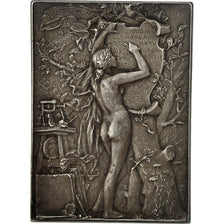 Frankreich, Medal, Hommage aux graveurs, Arts & Culture, 1891, A. Lechevrel