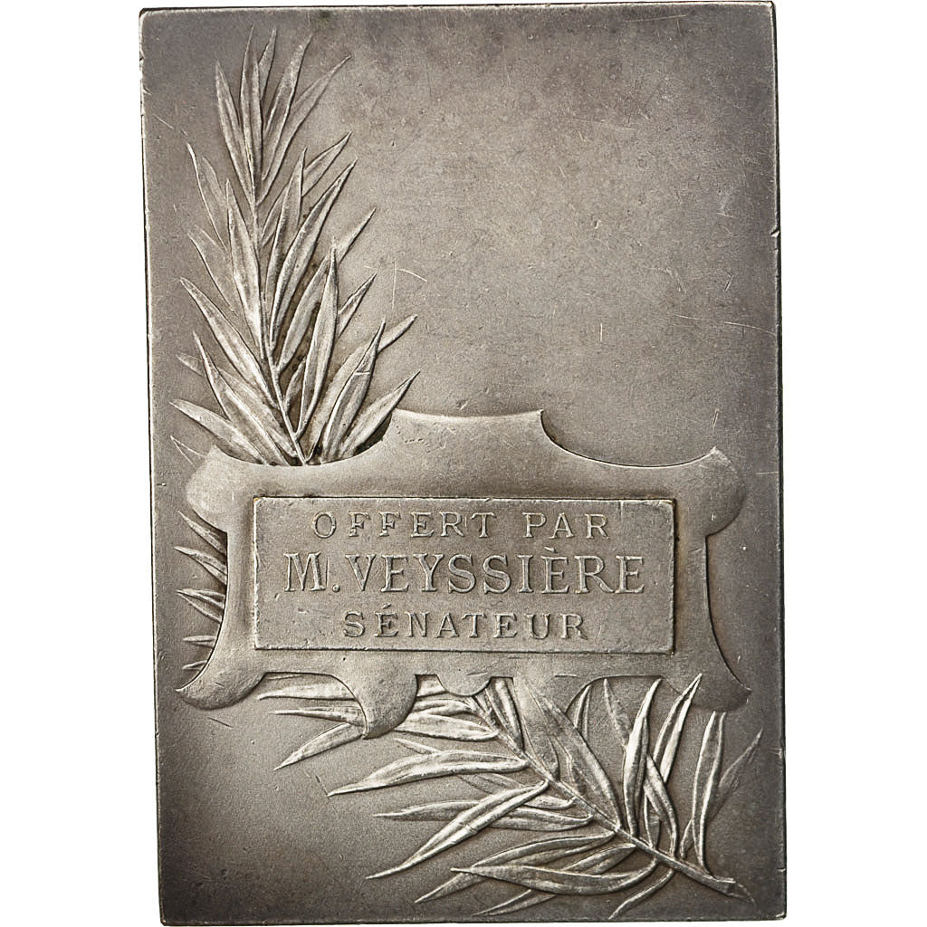 France, Medal, Syndicat commercial algérien, Politics, Society, War, Delpech