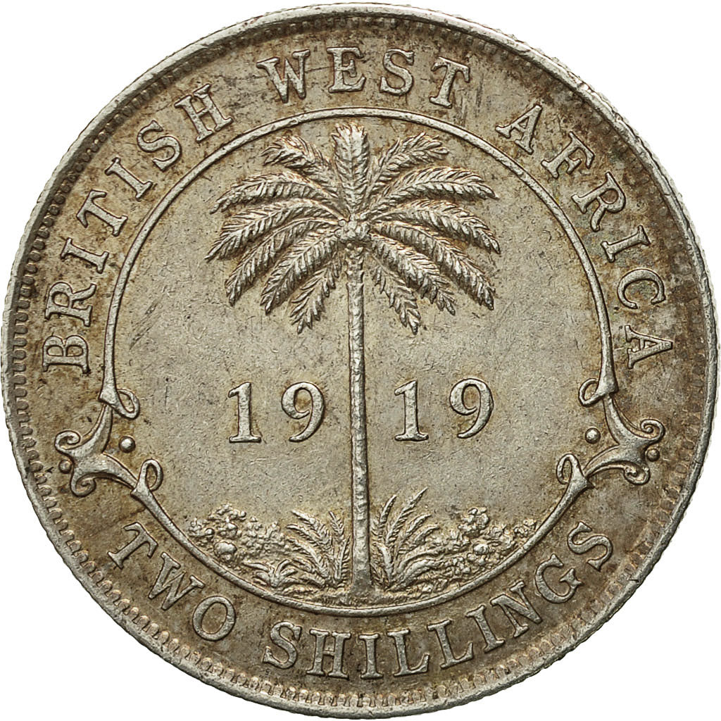 Monnaie, BRITISH WEST AFRICA, George V, 2 Shillings, 1919, TTB, Argent, KM:13