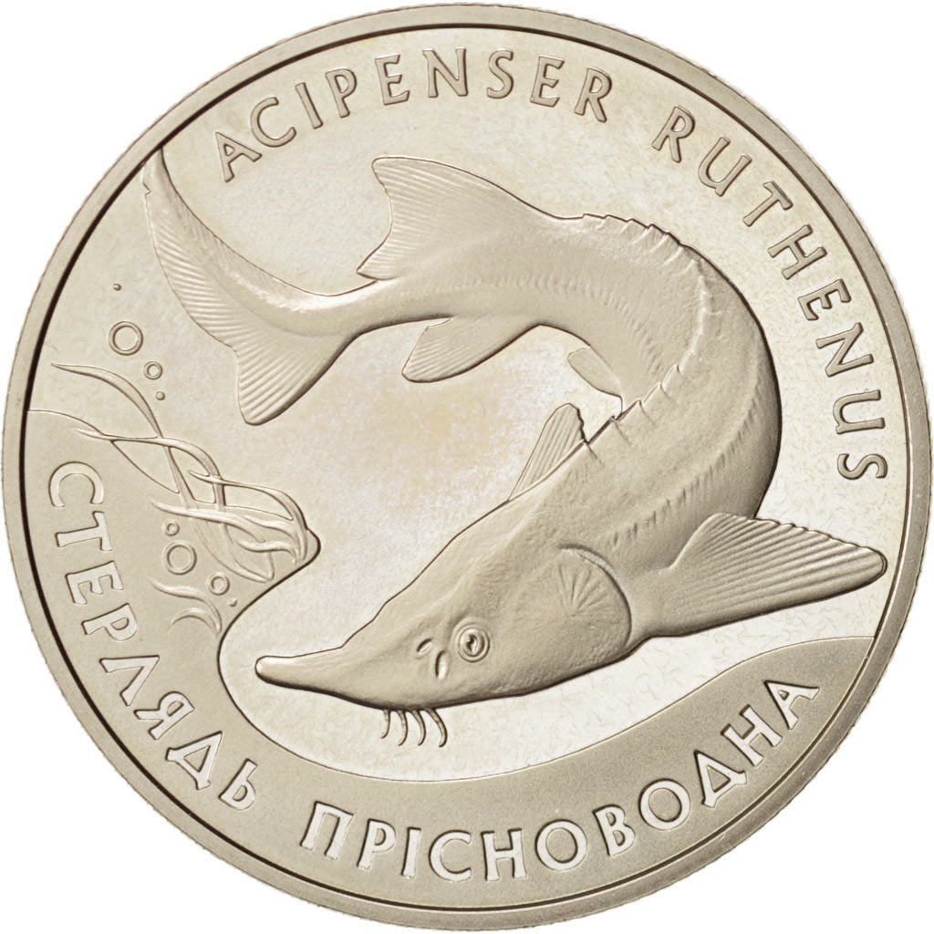 Coin, Ukraine, Acipenser Ruthenus, 2 Hryvni, 2012, Kyiv, MS(63), Copper-nickel