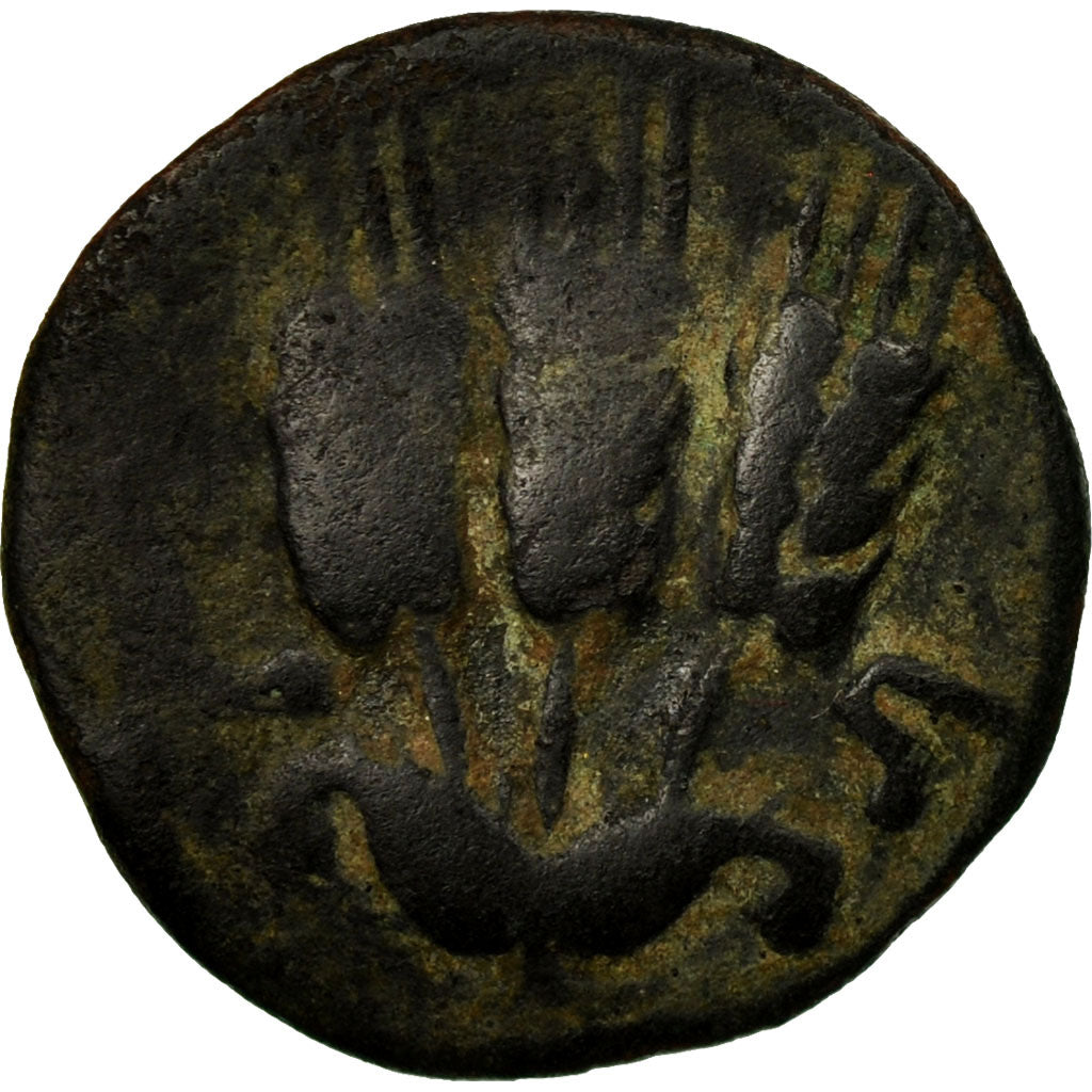 Moneda, Judaea, Agrippa I, Herodians, Prutah, RY 6 (41/42 AD), Jerusalem, MBC