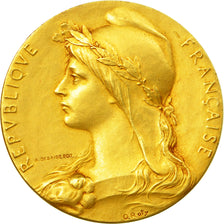 France, Medal, Marianne, République Française, O.Roty, MS(60-62), Gold