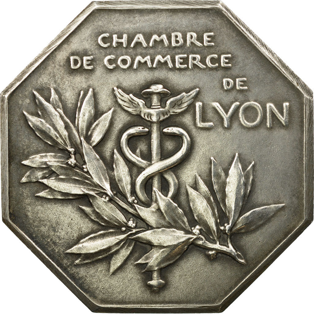 France, Medal, Chambre de Commerce de Lyon, O.Roty, AU(55-58), Silver