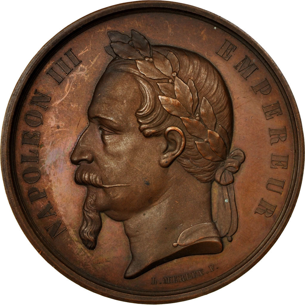 Francia, medalla, Napoléon III, Amélioration de la Seine, 1864, Merley, EBC