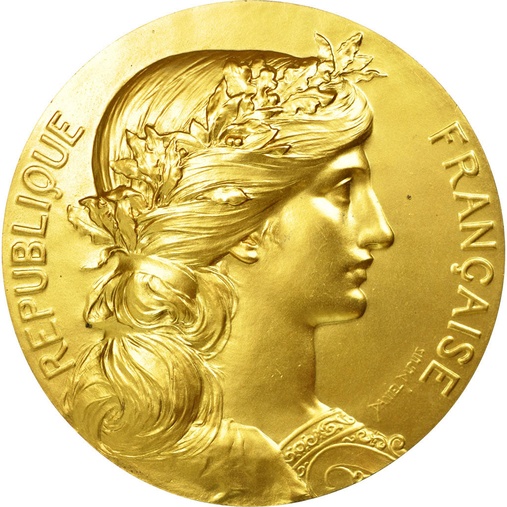 Francia, medaglia, Marianne, Chambre de Commerce de Rouen, Dupuis.D / Dubois.H