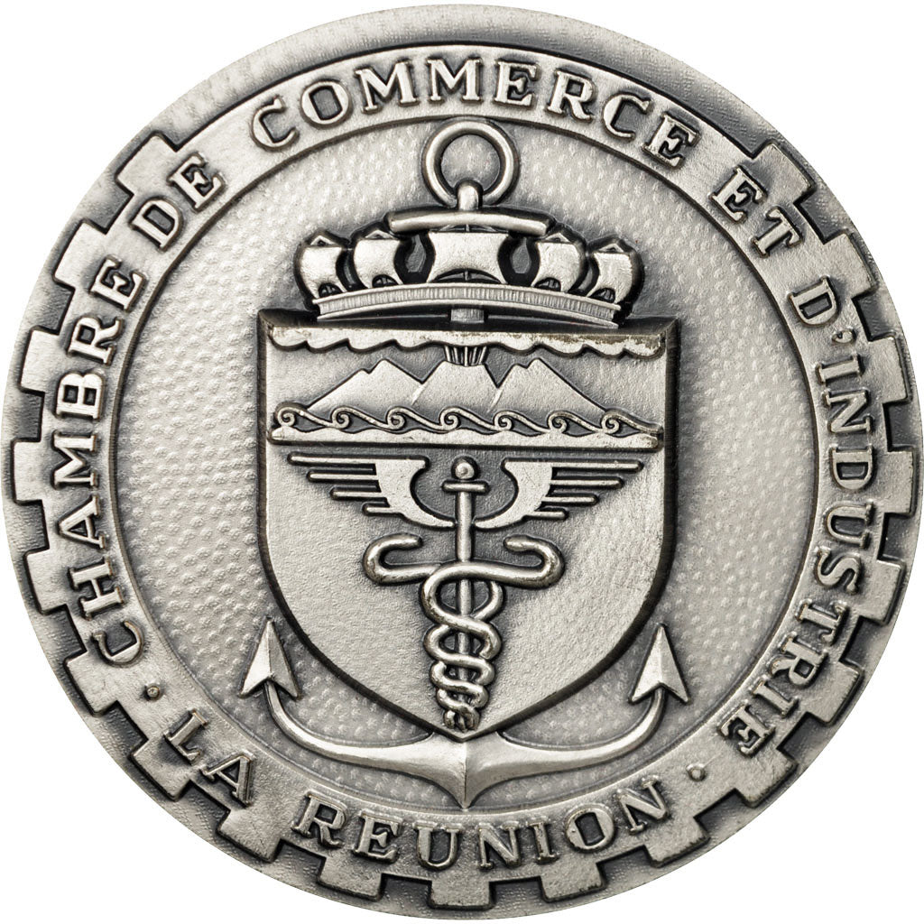 France, Medal, Inauguration de l'Aéroport Saint-Denis Gillot, 1976, MS(65-70)