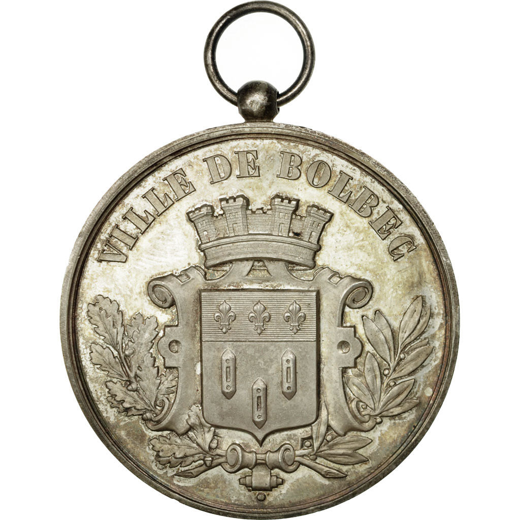 Francia, medaglia, Ville de Bolbec, Grand Marché aux bestiaux, 1884, SPL-