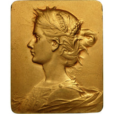 Francia, medalla, Troisième République, Marianne, Rasumny, MBC+, Bronce dorado