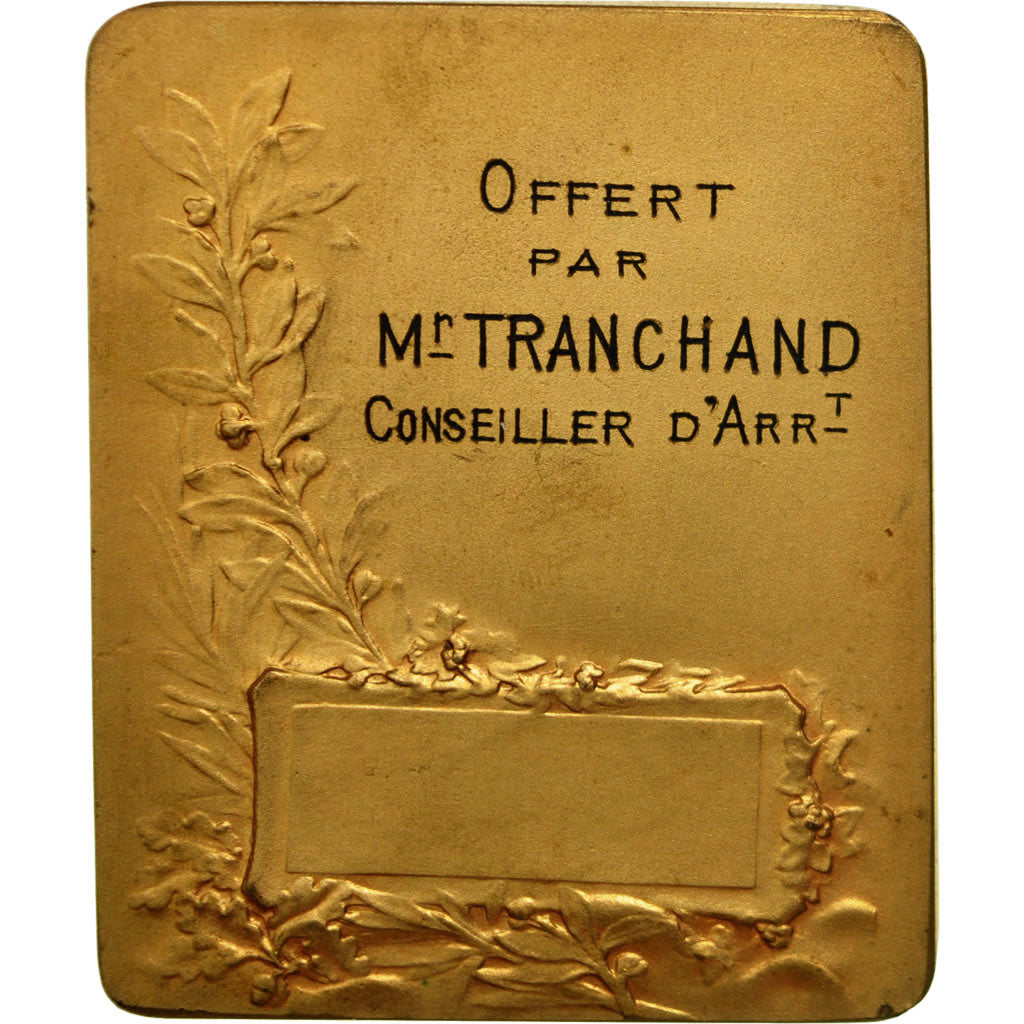 Francia, medalla, Troisième République, Marianne, Rasumny, MBC+, Bronce dorado