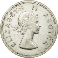 Coin, South Africa, Elizabeth II, 5 Shillings, 1956, EF(40-45), Silver, KM:52