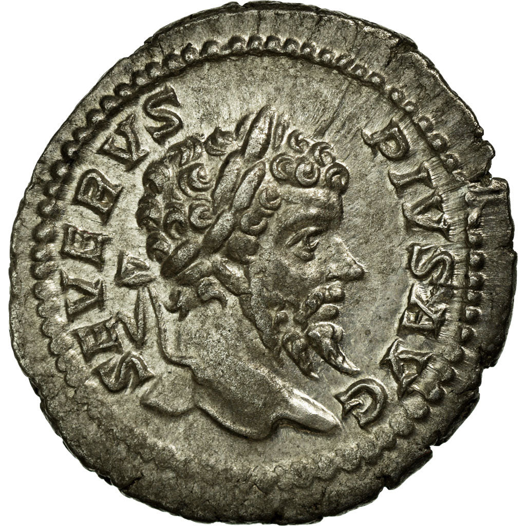Monnaie, Septime Sévère, Denier, 204, Rome, SUP, Argent, RIC:266