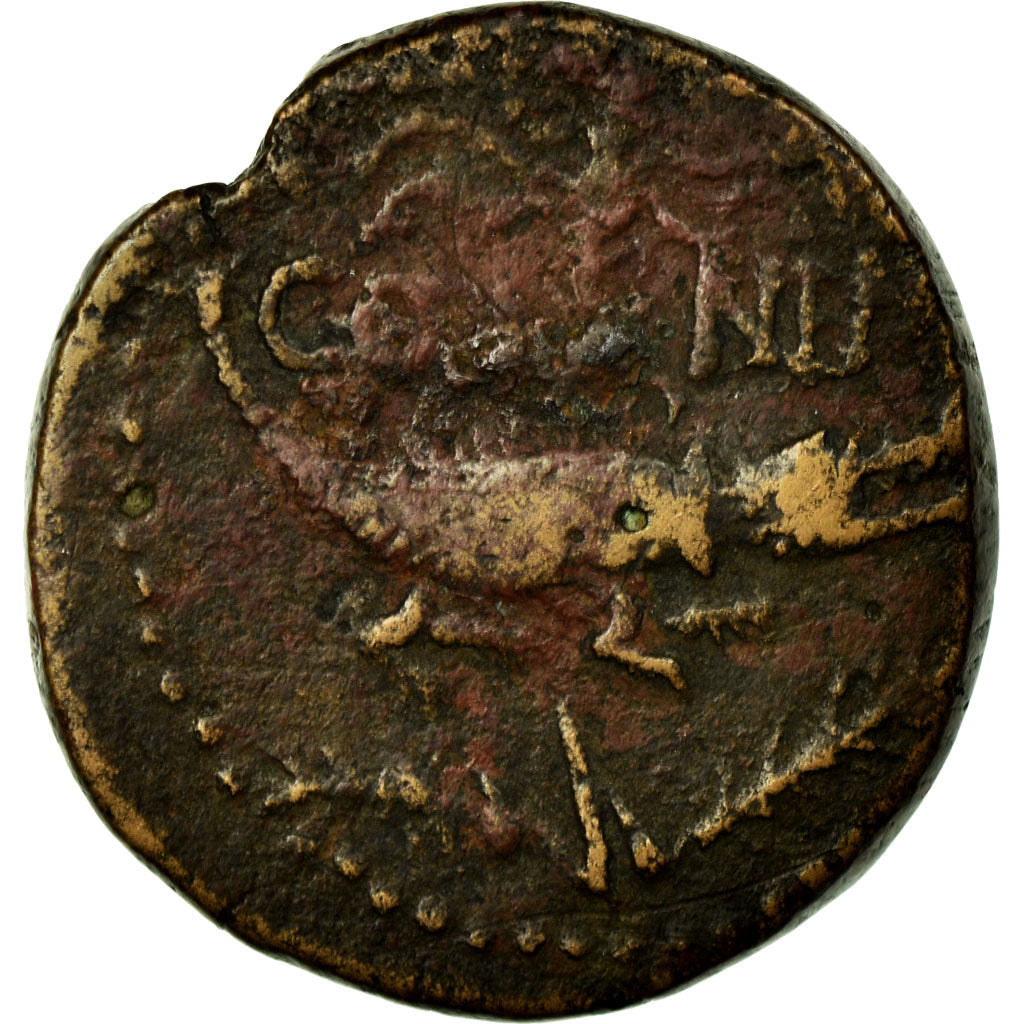 Coin, Augustus & Agrippa, Dupondius, 16-10 AD, Nemausus, VF(30-35), Bronze