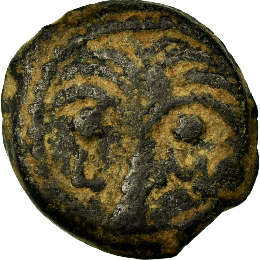 Coin, Judaea, Marcus Ambibulus, Prutah, 10 AD, Jerusalem, VF(20-25), Copper