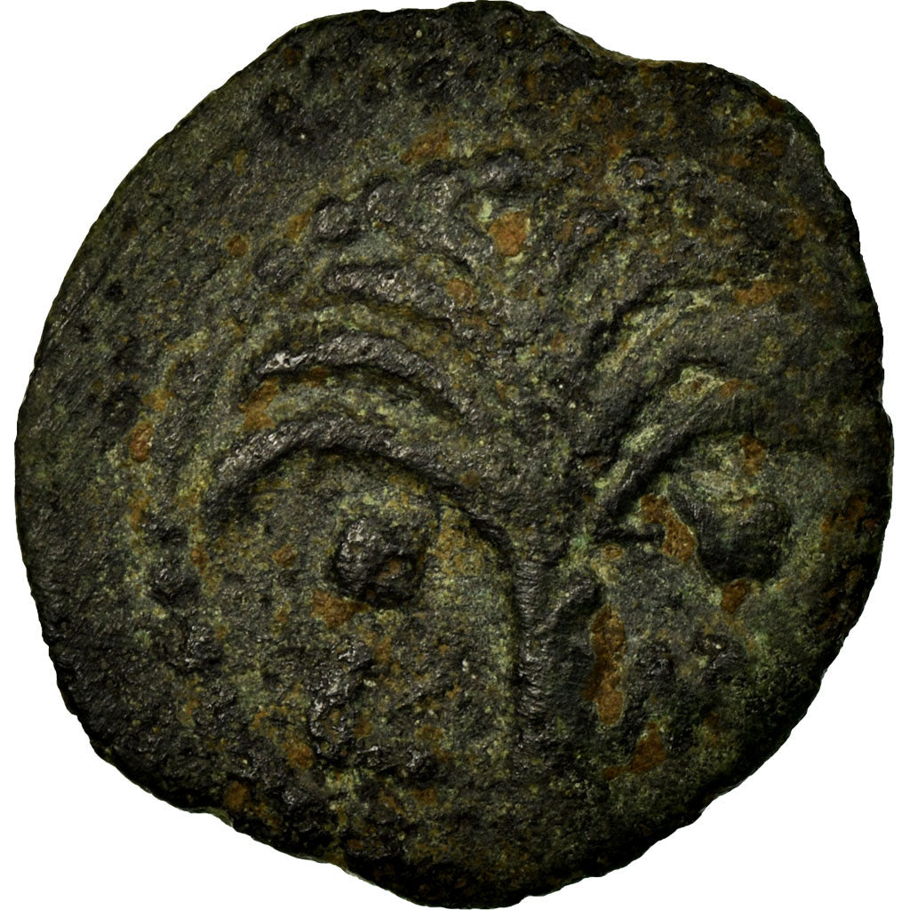Coin, Judaea, Marcus Ambibulus, Prutah, 11 AD, Jerusalem, VF(30-35), Copper