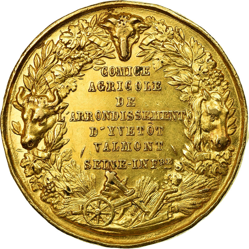 France, Medal, Comice Agricole d'Yvetot Valmont, 1869, AU(55-58), Gold