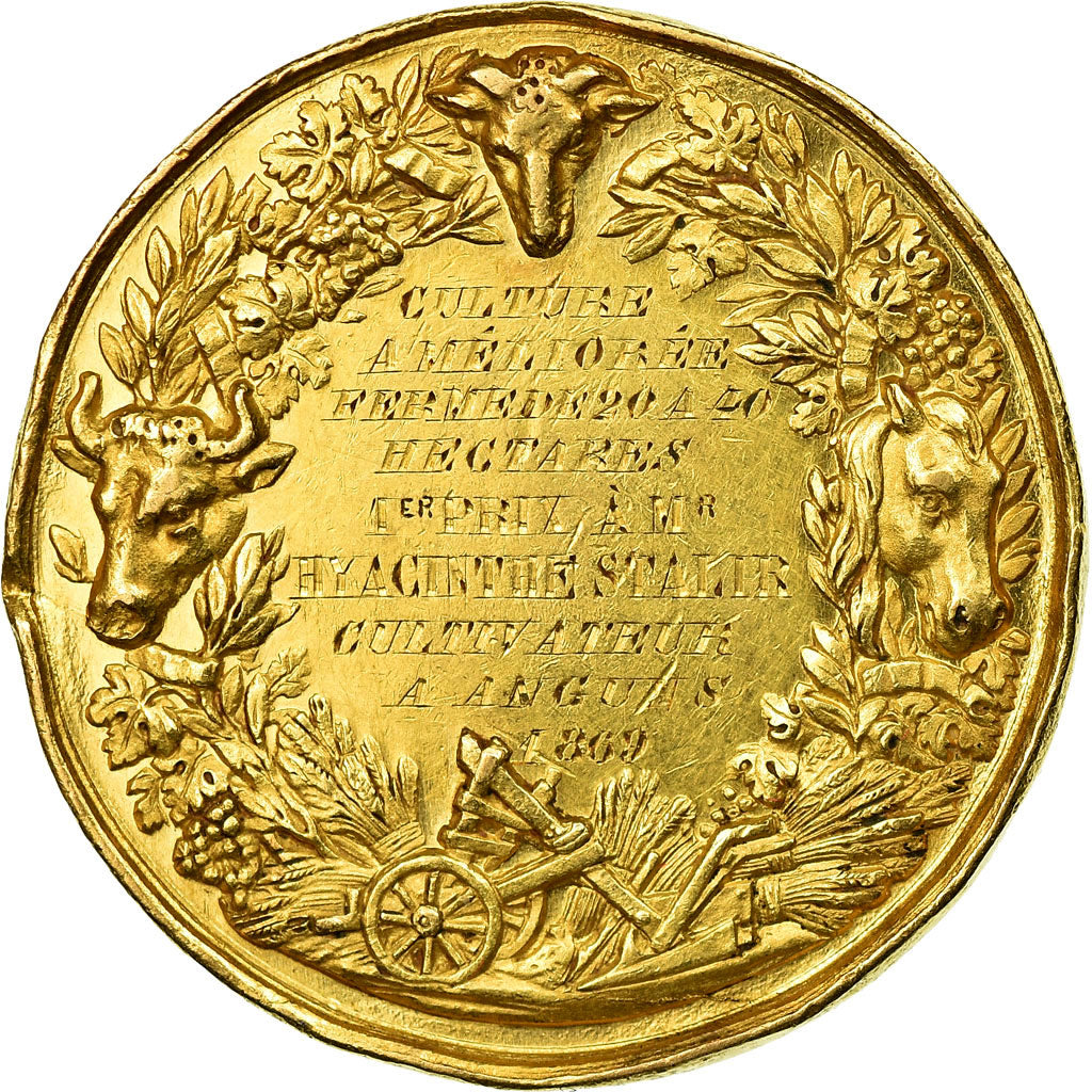 France, Medal, Comice Agricole d'Yvetot Valmont, 1869, AU(55-58), Gold