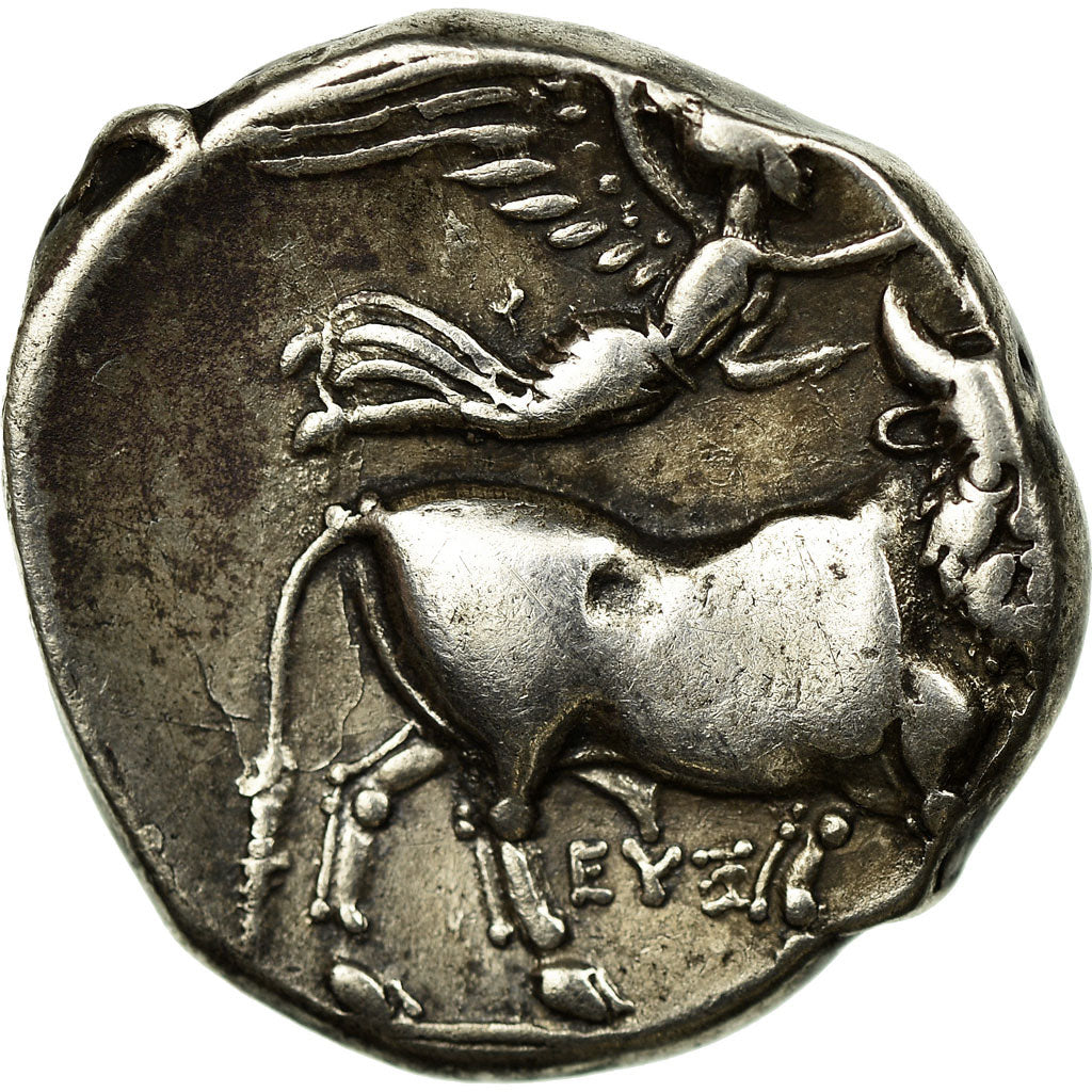 Coin, Campania, Didrachm, 300-275 BC, Neapolis, EF(40-45), Silver, SNG ANS:371