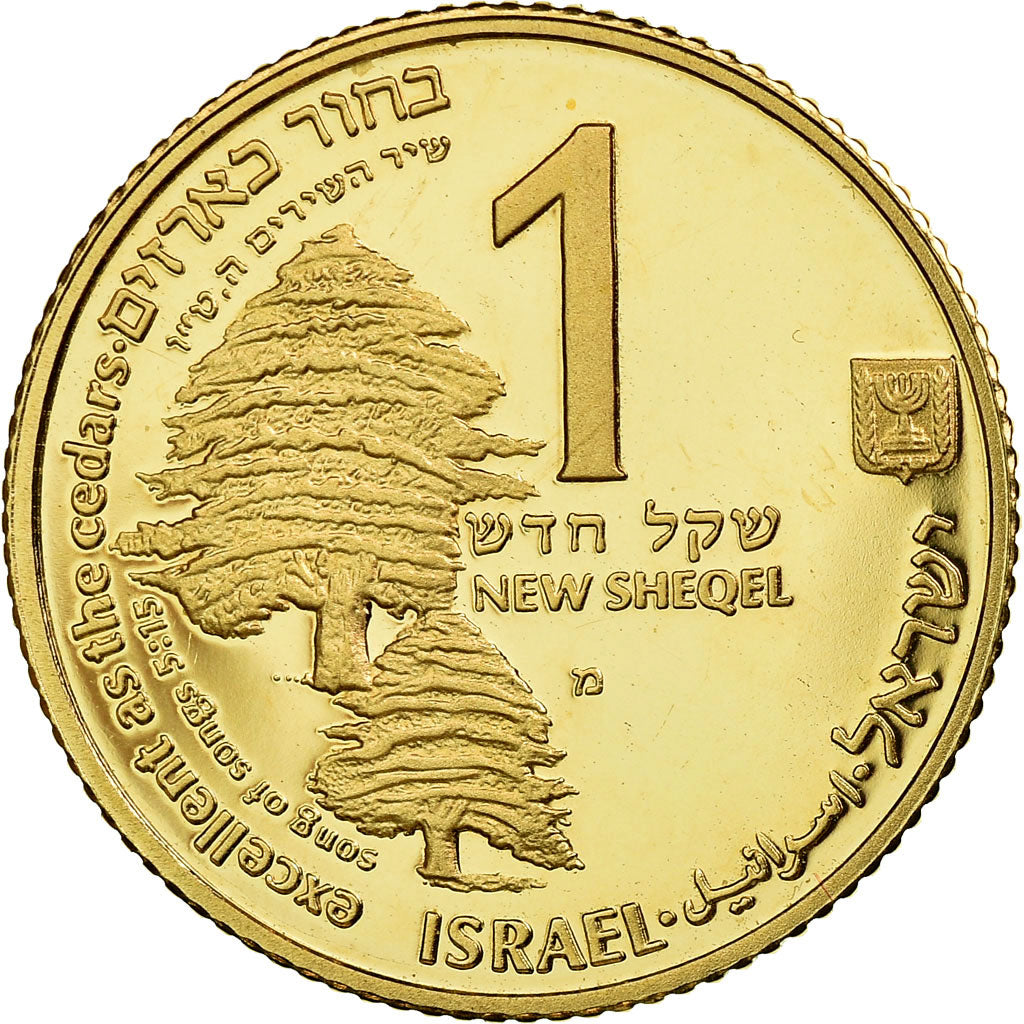 Moneta, Israele, New Sheqel, 1991, Ottawa, SPL, Oro, KM:342