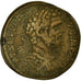 Monnaie, Septime Sévère, Sesterce, 194-195, Rome, TTB, Bronze, RIC:670d