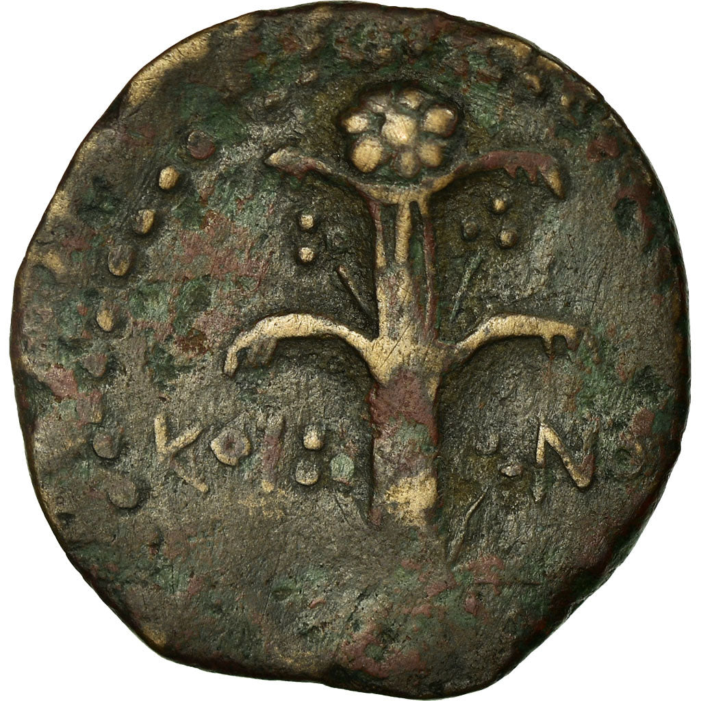 Coin, Kyrenaica, Koinon, Bronze Unit, 250-246 BC, EF(40-45), Bronze