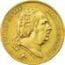 Münze, Frankreich, Louis XVIII, Louis XVIII, 40 Francs, 1818, Lille, SS+, Gold