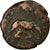 Coin, Antoninus Pius, As, 143-144, Rome, F(12-15), Copper, RIC:734