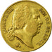 Moeda, França, Louis XVIII, Louis XVIII, 20 Francs, 1819, Paris, EF(40-45)