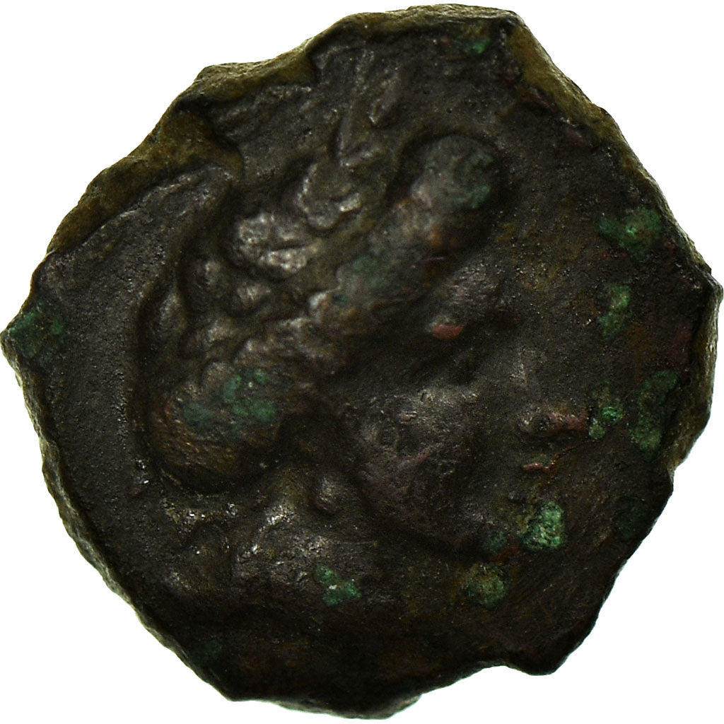 Coin, Skythia, Olbia, Bronze Æ, 350-300 BC, EF(40-45), Bronze