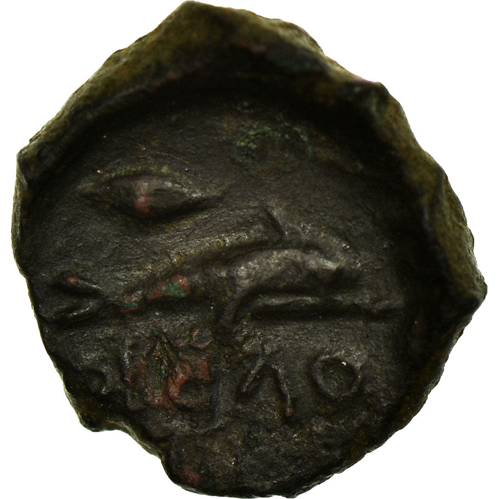 Coin, Skythia, Olbia, Bronze Æ, 350-300 BC, EF(40-45), Bronze