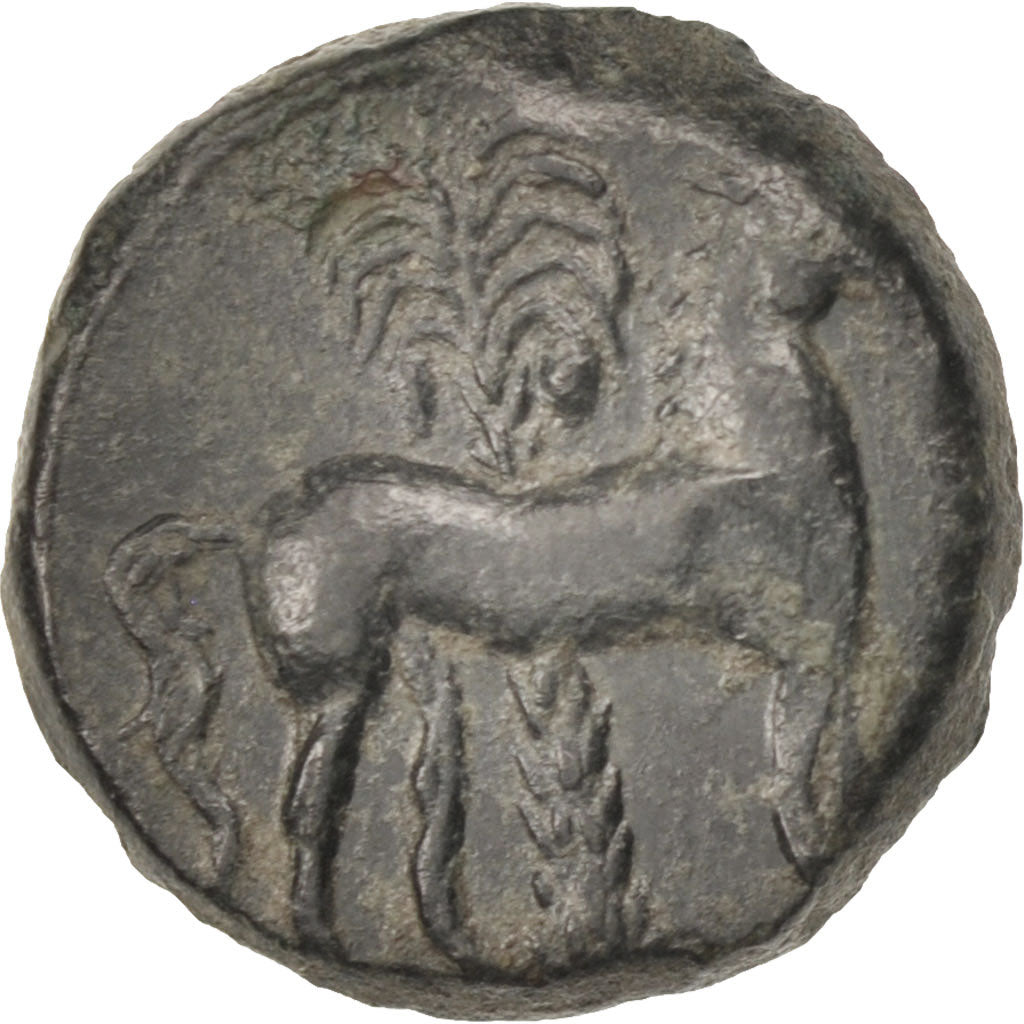 Zeugitanie, Carthage, Tanit, Bronze Unit, Sear:6444